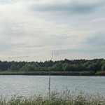 Elsensee